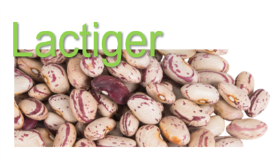 Lactiger