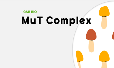MuT Complex
