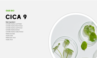 CICA 9