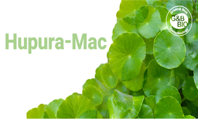 Hupura-MAC