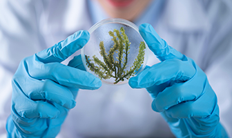 We are excited to announce the grand opening of our newly redesigned G&B BIO website