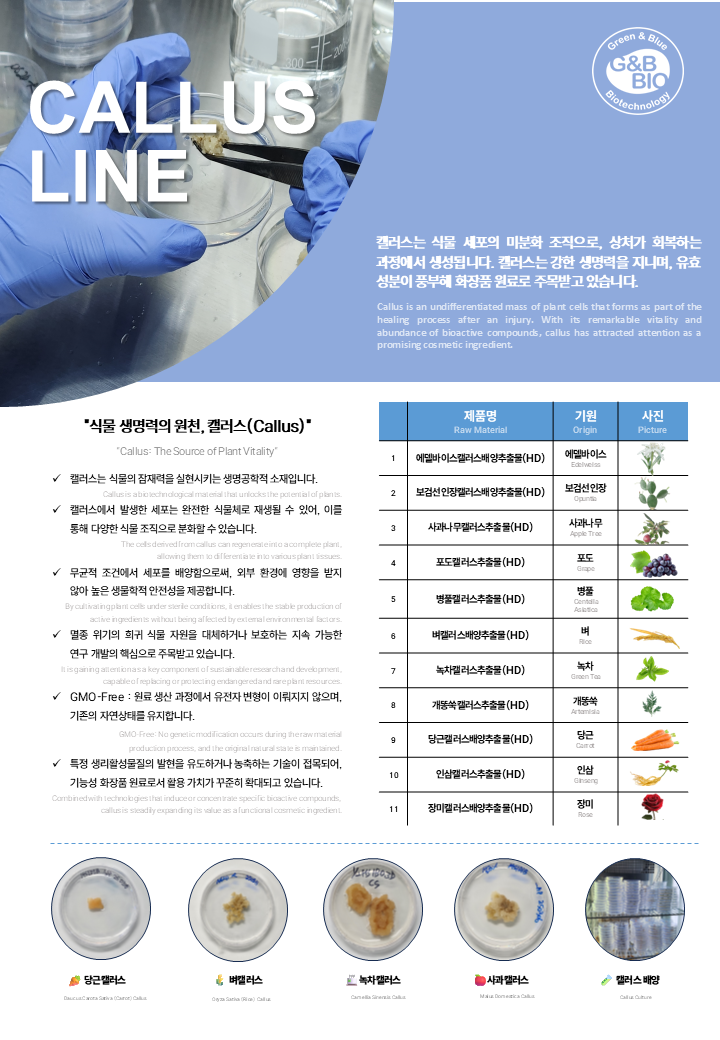 Callus Line (One page).png