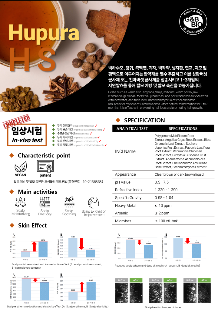 Hupura-HS(one page).png