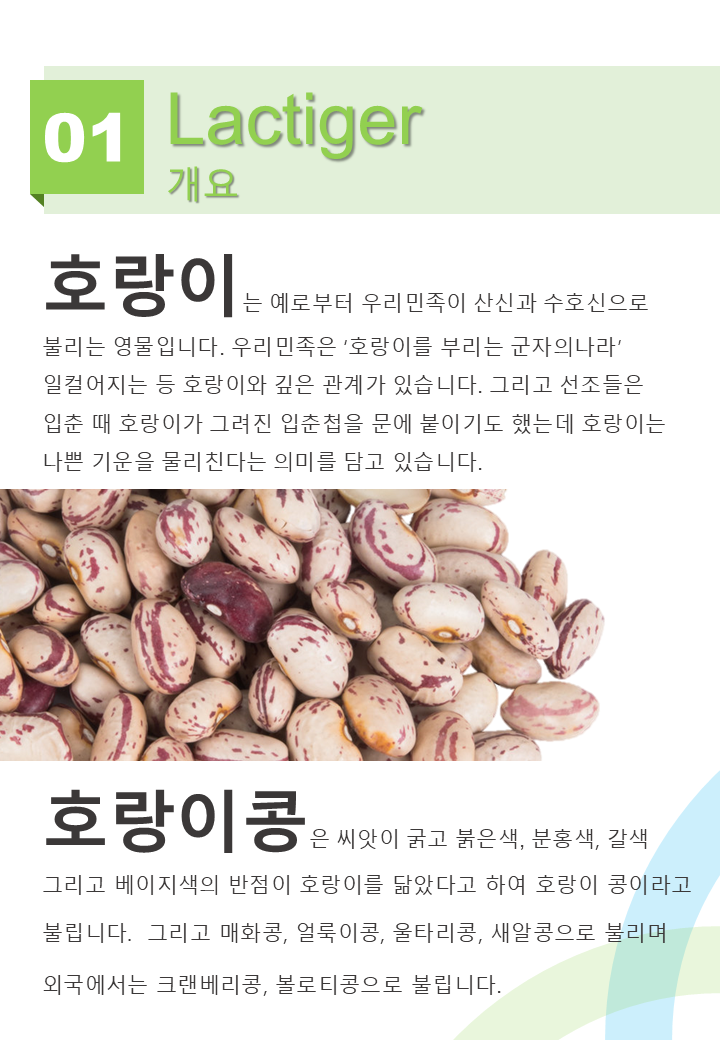 슬라이드2.PNG